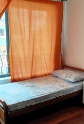 Fengli Gardens (D19), Terrace #533292881
